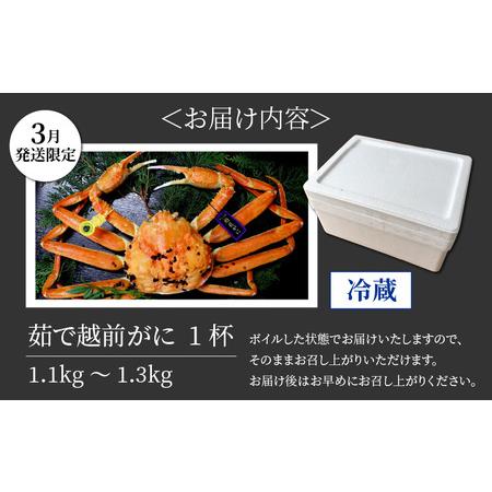 ふるさと納税 茹で越前がに ダブルタグ 1杯 1.1kg〜1.3kg《新鮮！茹でたてを発送》／ 高級 福井 ブランド ズワイガニ ボイル .. 福井県あわら市