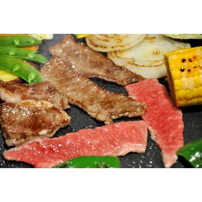 ふるさと納税 小田原市 相州黒毛和牛肩肉焼肉用　250g×2パック