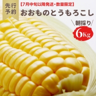 ＜令和5年産＞   八千代町産 農家直送 朝採りとうもろこし おおもの 6kg トウモロコシ スイートコーン 産地直送 [AX027ya]