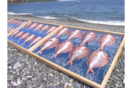 海の恵み　干物詰め合わせC（3回発送）