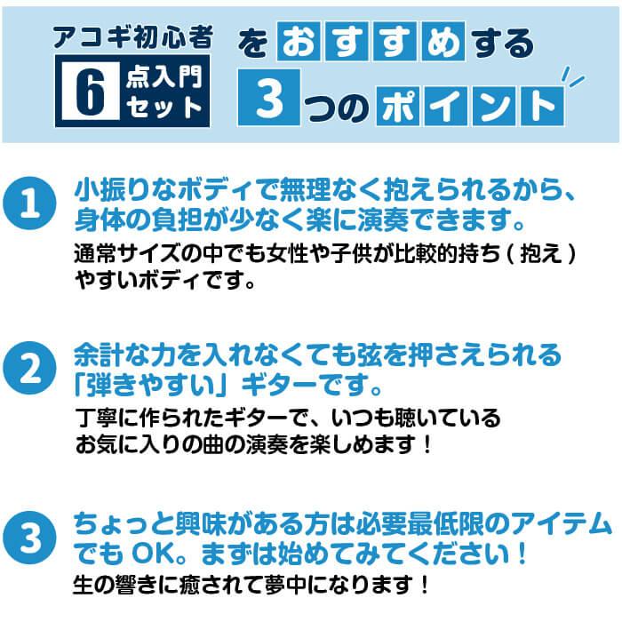 アコースティックギター 初心者セット アコギ 6点 アリア Aria-101 (小振りなボディ フォーク ギター 初心者 入門 セット)