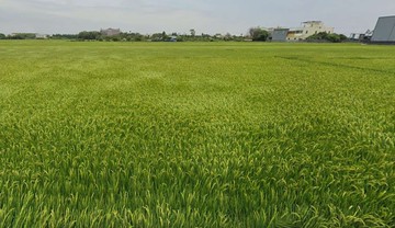 員林交流道附近特定區變更計劃用地千坪｜彰化縣埔心鄉霖興段