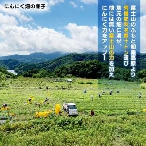 ふるさと納税 超熟成 黒にんにく 200g×1袋セット ＋ 250g×1袋セット 山梨県小菅村