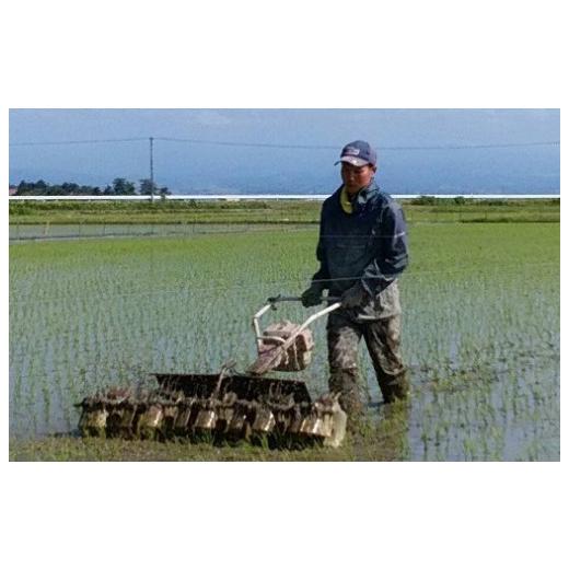 ふるさと納税 山形県 三川町 ecofarmすがわらの特別栽培米つや姫10kg