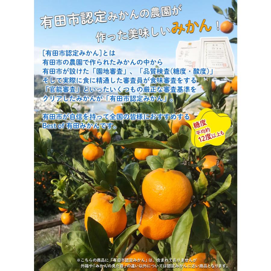 みかん 訳あり 完熟 有田みかん 5kg 家庭用 和歌山県 有田市産 ミカン サイズ混合 小玉あり 糖度に自信あり 有田ミカン 蜜柑 果物 フルーツ 送料無料