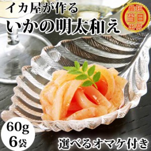 敬老の日 ギフト 送料無料 選べるオマケ付 いかの明太和え 60g入6袋 食べきりサイズ 個包装 小分けイカ塩辛 いか塩辛 珍味 国産 身 いか