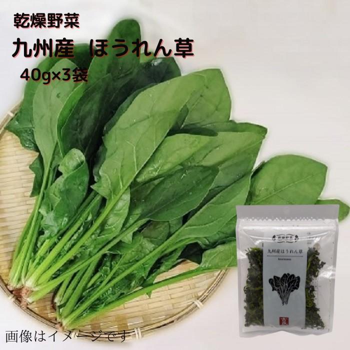 乾燥野菜 九州産 ほうれん草 40ｇ×3 送料無料  長期保存 常温  乾燥 乾燥野菜 野菜 簡単便利 時短 ほうれん草