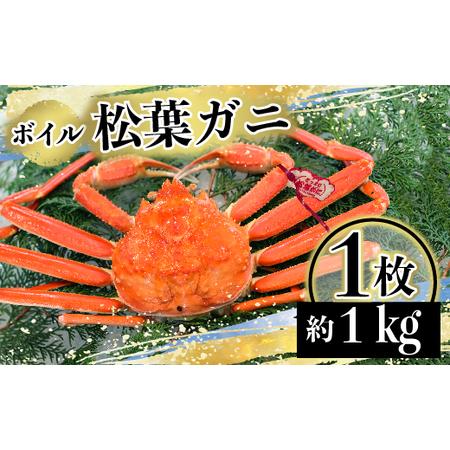 ふるさと納税 601.（タグ付き）松葉がに（ボイル） 1枚（約1kg）※着日指定不可※北海道、沖縄、一部離島への配送不可《ずわいがに.. 鳥取県琴浦町