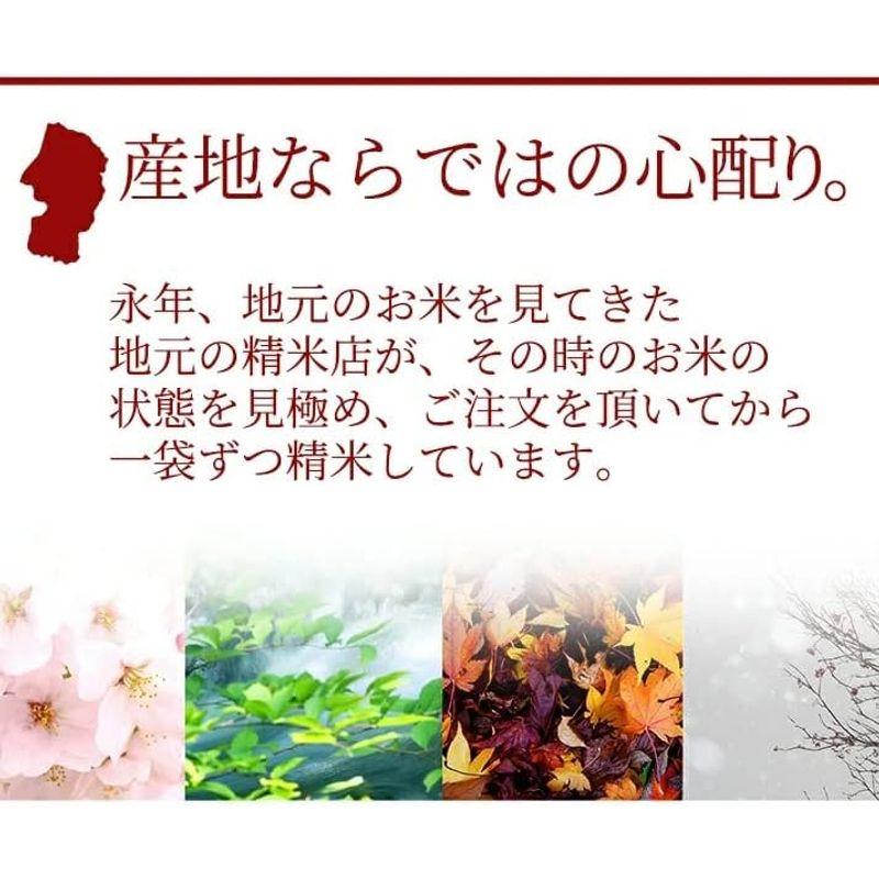 精米 山形県産 白米 はえぬき 5kg 令和5年産