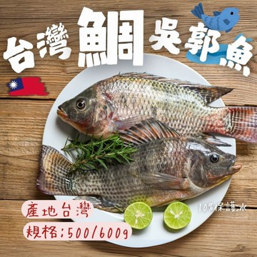 台灣三去吳郭魚 台灣三去台灣鯛 重量500/600g 包10%保護冰 特價販售中