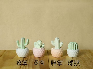 MIHER 仙人掌盆栽擴香石
