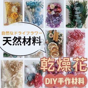DIY 天然乾燥花 植物果實 繽紛 拍照道具 花材 花藝材料包 浮游花 永生花 油花 乾花