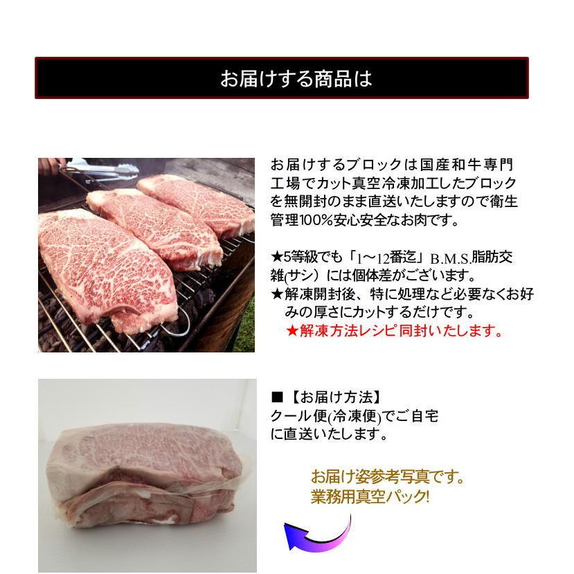 九州ブランド　黒毛和牛Ａ５等級サーロインブロック　ブロック肉 かたまり