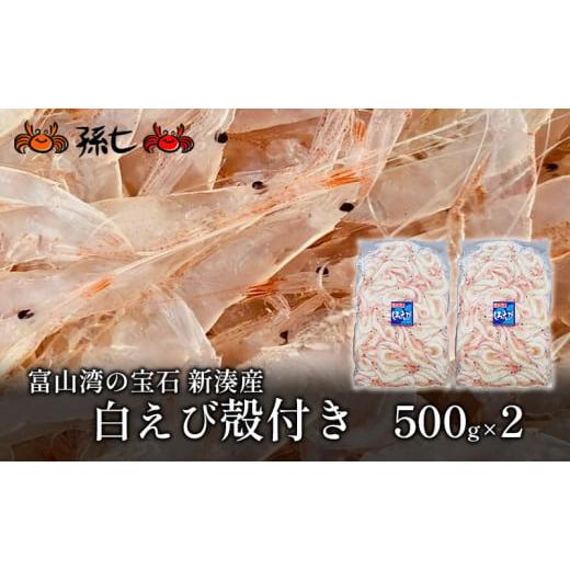 ふるさと納税 富山県 射水市 [No.5683-0443]白えび殻付き500g×2