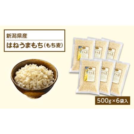 ふるさと納税 G8-13新潟県産はねうまもち（もち麦）500g×6袋入 新潟県長岡市