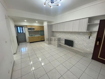 宸誼推薦｜巴黎世家大三房｜桃園市桃園區國際路一段