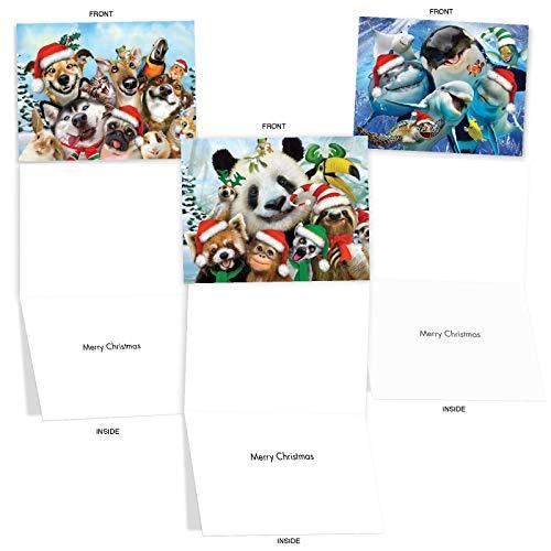 グリーティングカード |Merry Christmas to動物園クリスマスユーモアカード 10 Assorted Christmas Cards