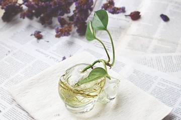 限量手工造型花瓶 | 墨水瓶 玻璃 台灣製