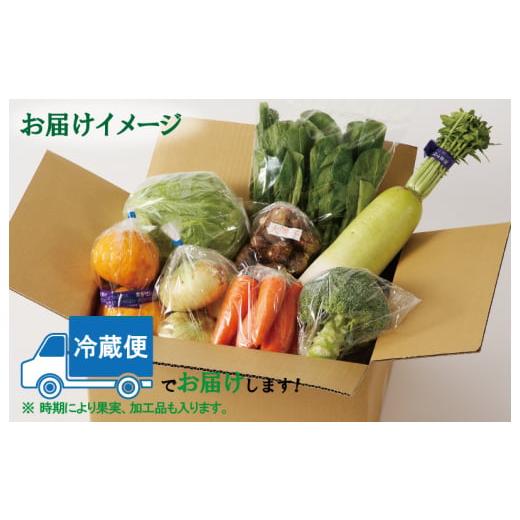 ふるさと納税 大阪府 泉佐野市 泉州野菜 定期便 全3回 7種類以上 詰め合わせ 国産 新鮮 冷蔵