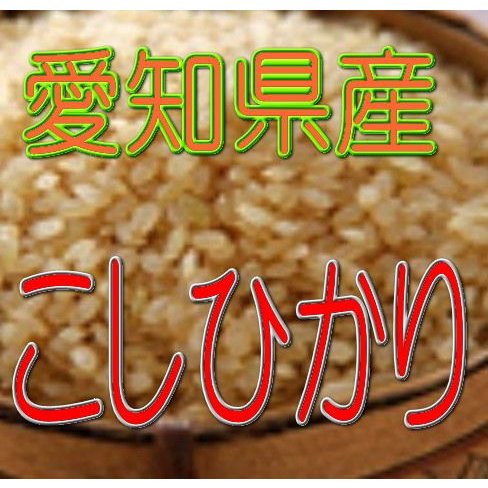 玄米 こしひかり 5kg令和4年産 愛知県産