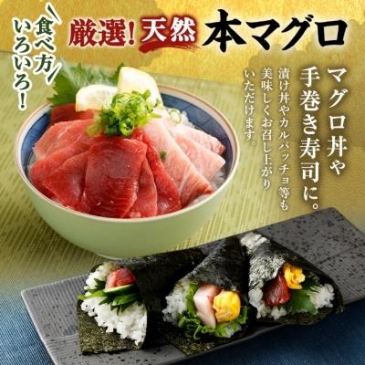 ふるさと納税 室戸市 厳選天然本マグロセット(大トロ・中トロ・赤身の食べ比べ3種セット)