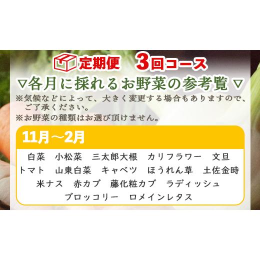 ふるさと納税 高知県 香南市 定期便3回コース 高知県香南市産 旬のお野菜詰合せ(10〜13品目)  やさい おまかせ セット 土佐野菜 新鮮 高知県 香南市 Wpr-000…