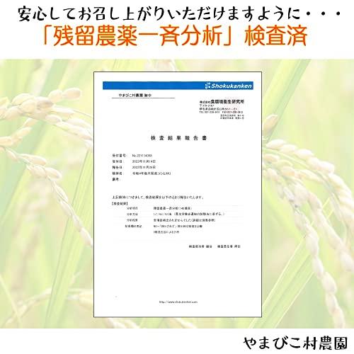 栃木県（県北）産 コシヒカリ 10kg 白米 残留農薬不検出米 令和４年産