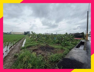 BG58⭐近澄清湖長庚醫院捷運黃線Y1站方正美農地｜高雄市鳥松區坔埔段