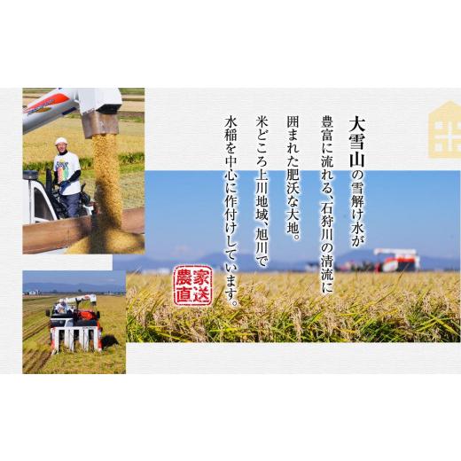 ふるさと納税 北海道 旭川市 ＼令和5年産／中谷米創　ゆめぴりか　5kg×12か月