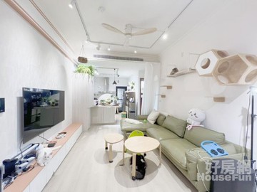 成功學區精美裝潢三房一車位｜新竹縣竹北市縣政二路