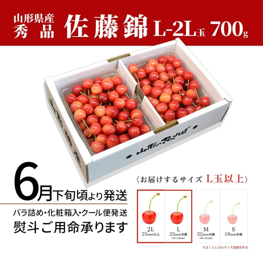  さくらんぼ 佐藤錦 Ｌ玉 700g（350gパック×2） 山形 秀品 2024 サクランボ 取り寄せ 送料無料 贈答 ギフト プレゼント