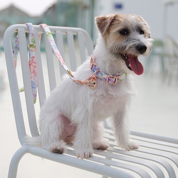 客製/原創印花/棉質舒適 | 狗貓項圈-無盡夏 Pawsholic爪迷