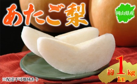 梨 2023年先行予約 岡山県産 あたご梨 約1kg 1玉 お届け 2023年11月下旬～2023年12月中旬