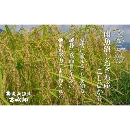 ふるさと納税 生産者限定  南魚沼しおざわ産コシヒカリ　玄米20kg（10ｋｇ×2個） 新潟県南魚沼市