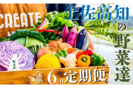 ★北海道・沖縄配送不可★高知の新鮮野菜セット 旬の野菜を味わう6ヵ月便