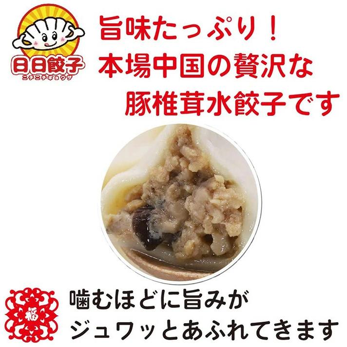 日日 豚肉椎茸水餃子600g 約30個入 冷凍ギョウザ  もちもち厚皮 中華水餃子　日本産