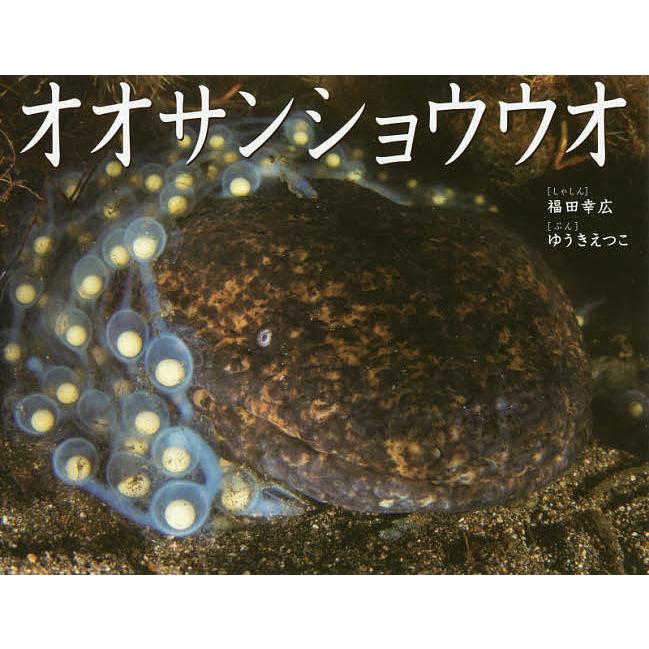 オオサンショウウオ 福田幸広 しゃしん ゆうきえつこ ぶん