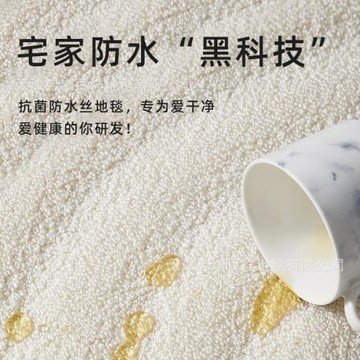 新西蘭羊毛客廳地毯素色奶白純色輕奢高級茶幾毯臥室防水防污地墊