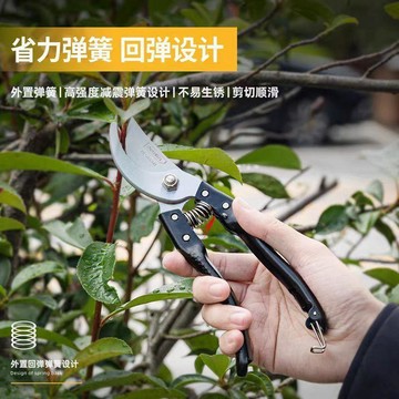 【爆款】原裝精品修枝剪SK5強力園藝修枝剪新款園林家用省力款剪