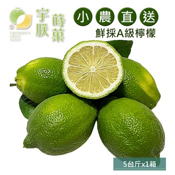 預購【宇朕蒔果】100%台灣農民直配A級有籽檸檬(5台斤/箱)