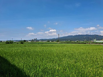 冷泉美田｜台中市大甲區新興段