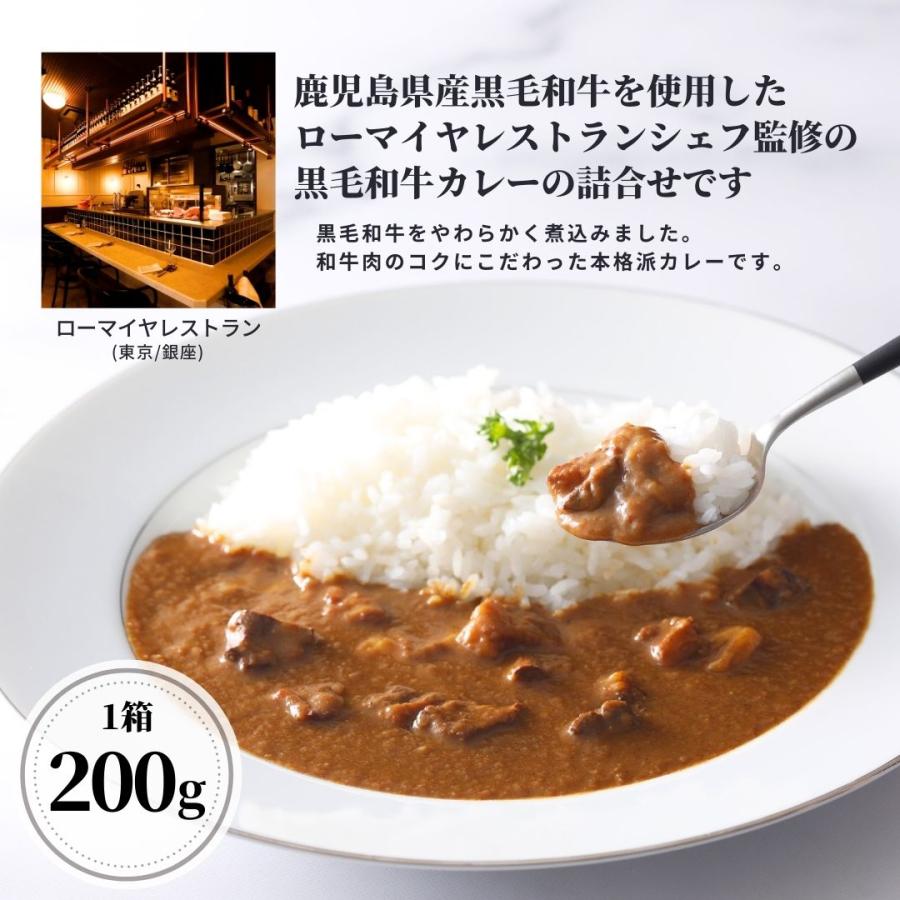 お歳暮 肉 ギフト 鹿児島県産 黒毛和牛 カレー レトルトカレー 食べ物 ローマイヤ スターゼン クリスマス 詰合せ セット 国産