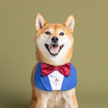 【ZAZAZOO】名偵探領巾-死神小學生