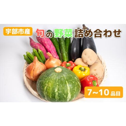 ふるさと納税 山口県 宇部市 新鮮野菜の産直 ＜楠こもれびの郷「楠四季菜市」＞