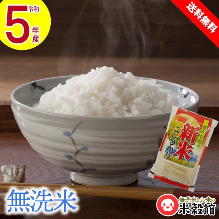 令和５年産新米 送料無料 5kg 九州 宮崎県産「コシヒカリ」5kg×1個 無洗米