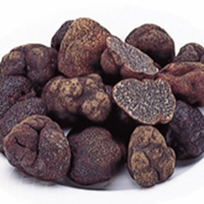 【冷凍】冷凍トリュフ M(3～4cm) 500G (株式会社ヤマオカ/農産加工品【冷凍】/きのこ)