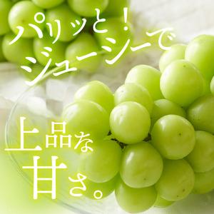 ふるさと納税 〈2024年度配送分〉甲府市産 シャインマスカット 3〜5房（2.0kg以上） 山梨県甲府市