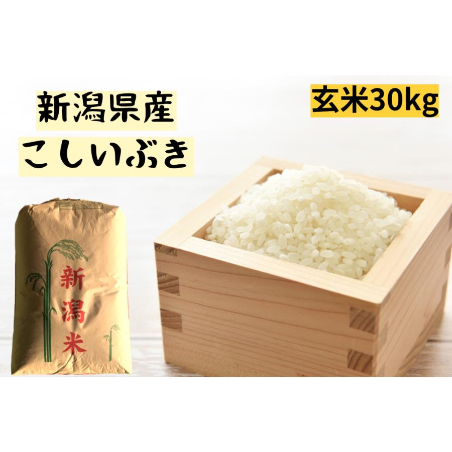 玄米　令和5年産　新潟県産こしいぶき　2等　30kg