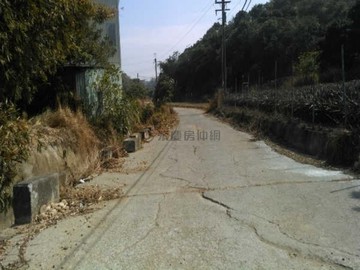 大樹~大坪數農地｜高雄市大樹區三和段