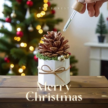 Lucky Pinecone 聖誕可可松果擴香(贈送5ml香氛油)